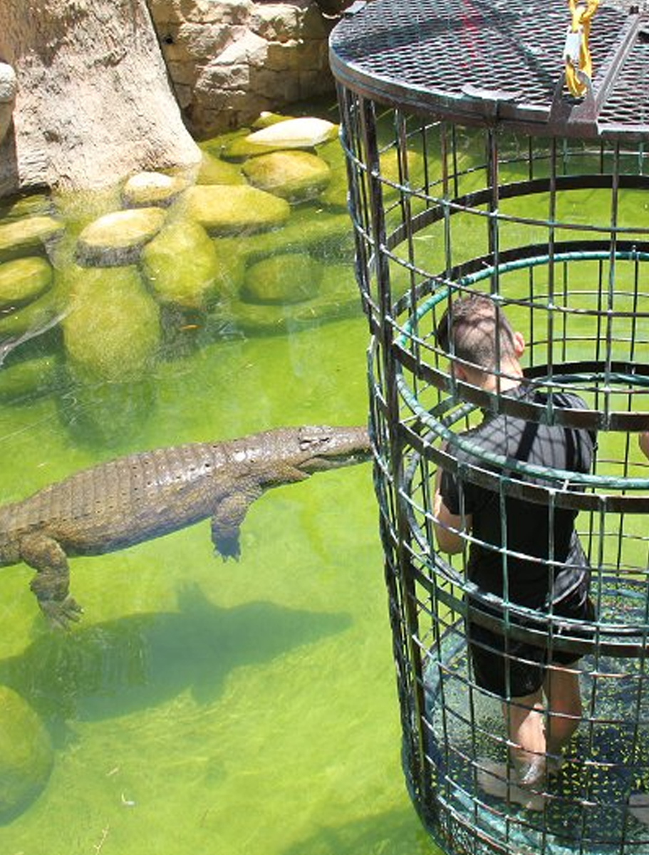 Animal-Encounters-!!