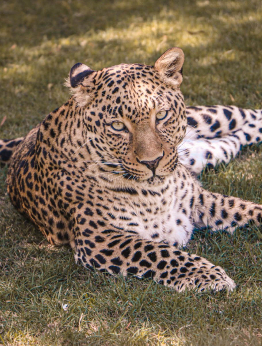 Animal-Encounters!!!