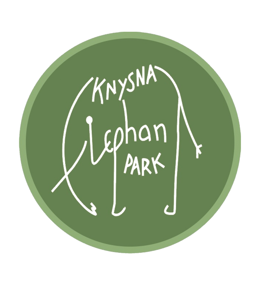 Elephant Feeding-log