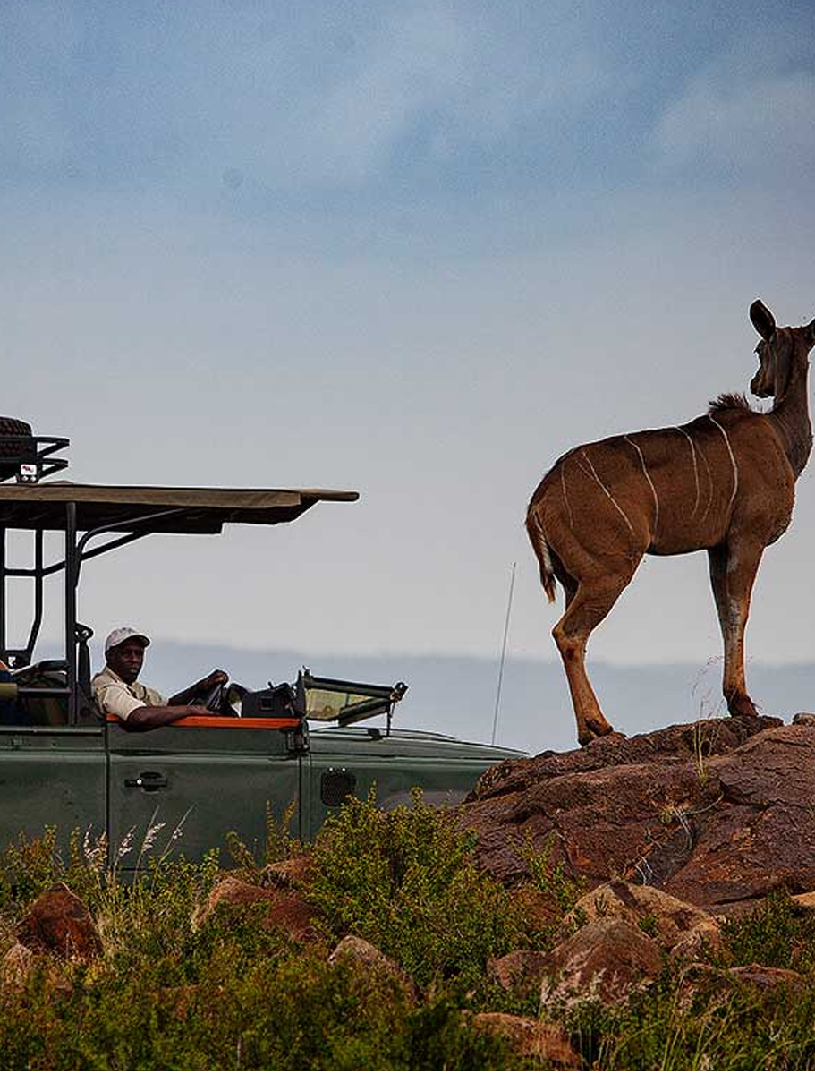 Elewana-Loisaba-Star-Beds-a
