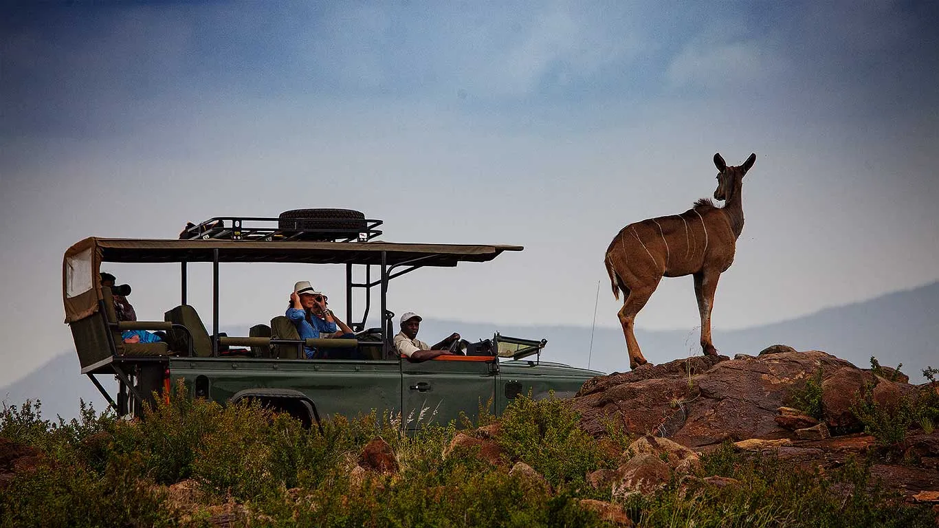 Elewana Loisaba Star Beds-acti