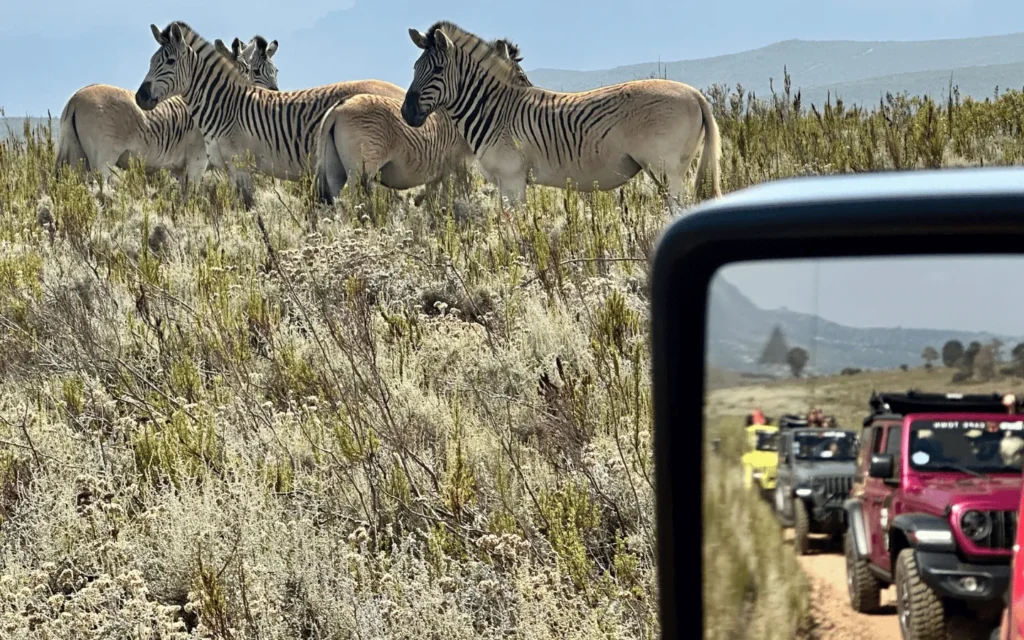 Epic Jeep Adventures-2