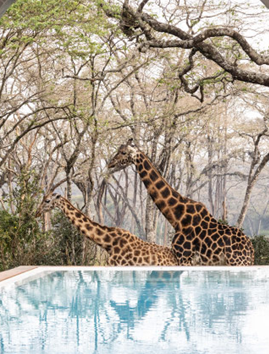 Giraffe-Manor-Hotel-B