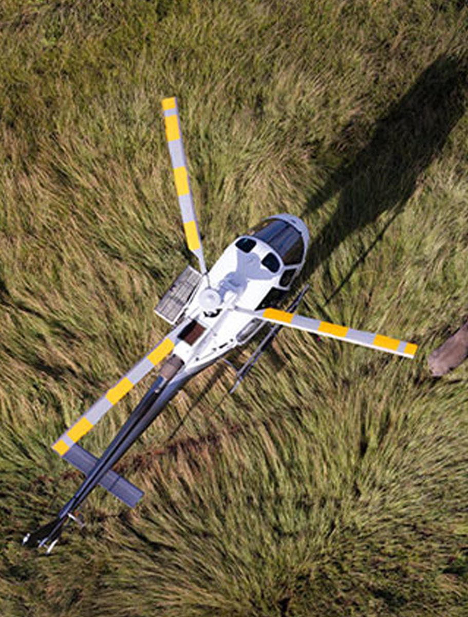 Giraffe-Manor-Hotel-C