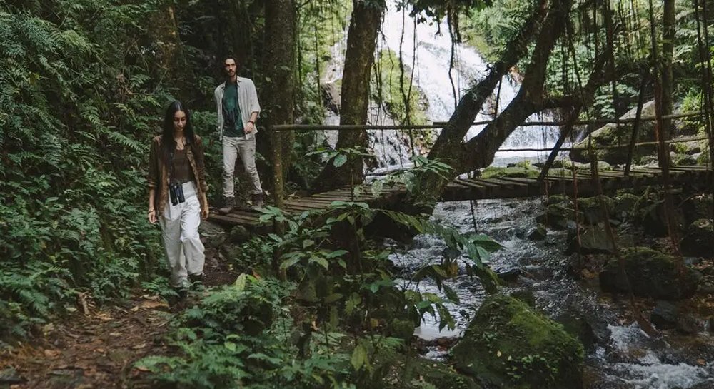 Gorilla-Forest-Lodge-EXperence