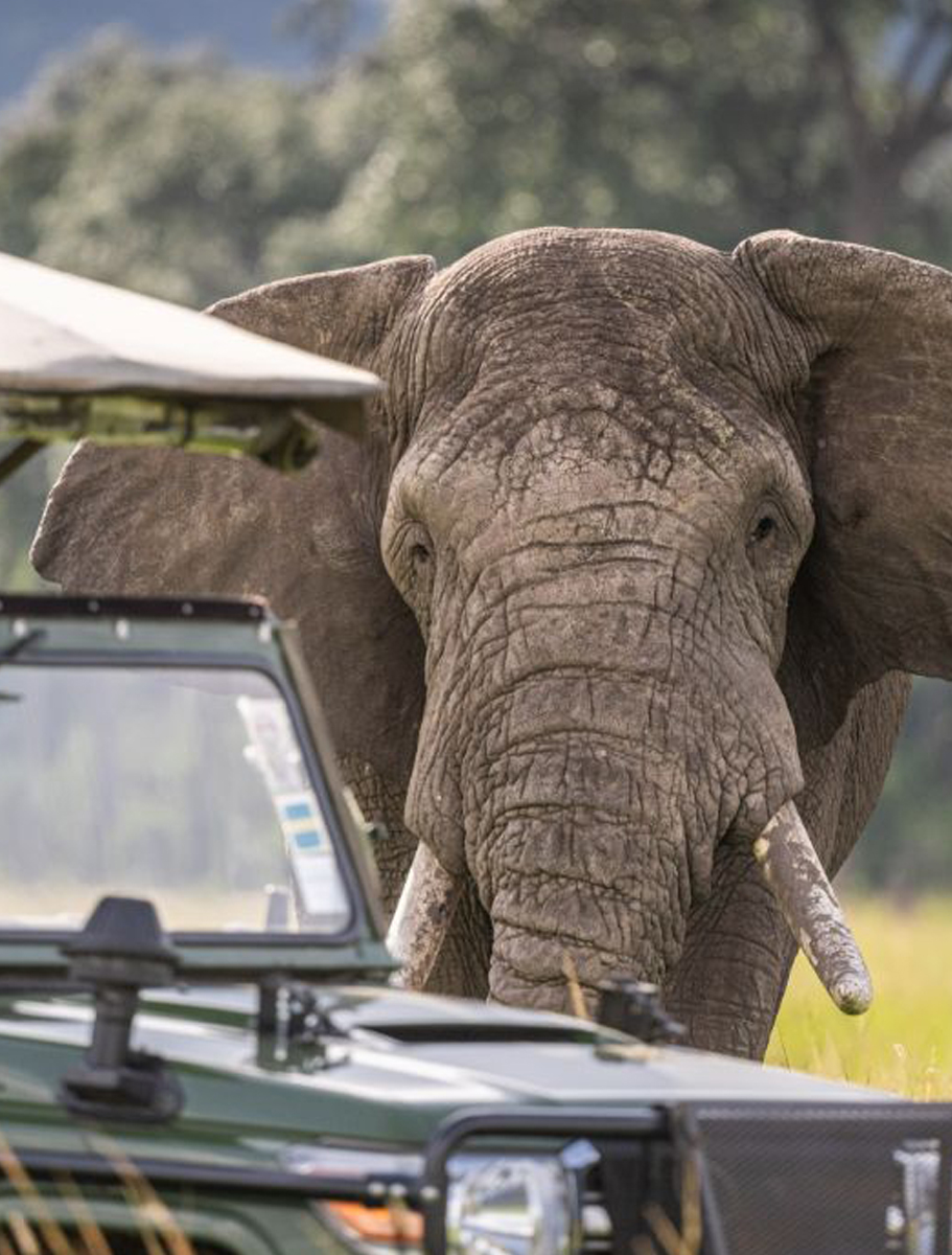 Governors-Il-Moran-1