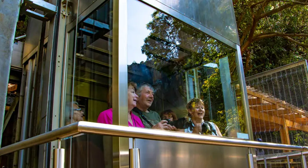 Graskop-Gorge-Lift-D