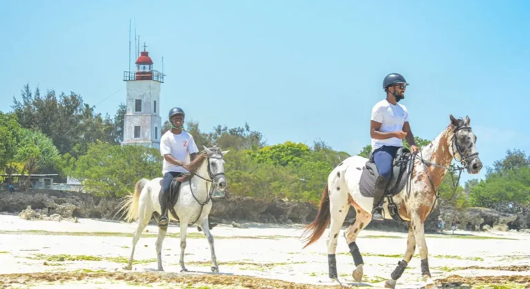 Horse-Safari-in-the-11