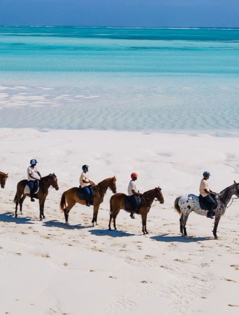Horse-Safari-in-the-Ocean-A