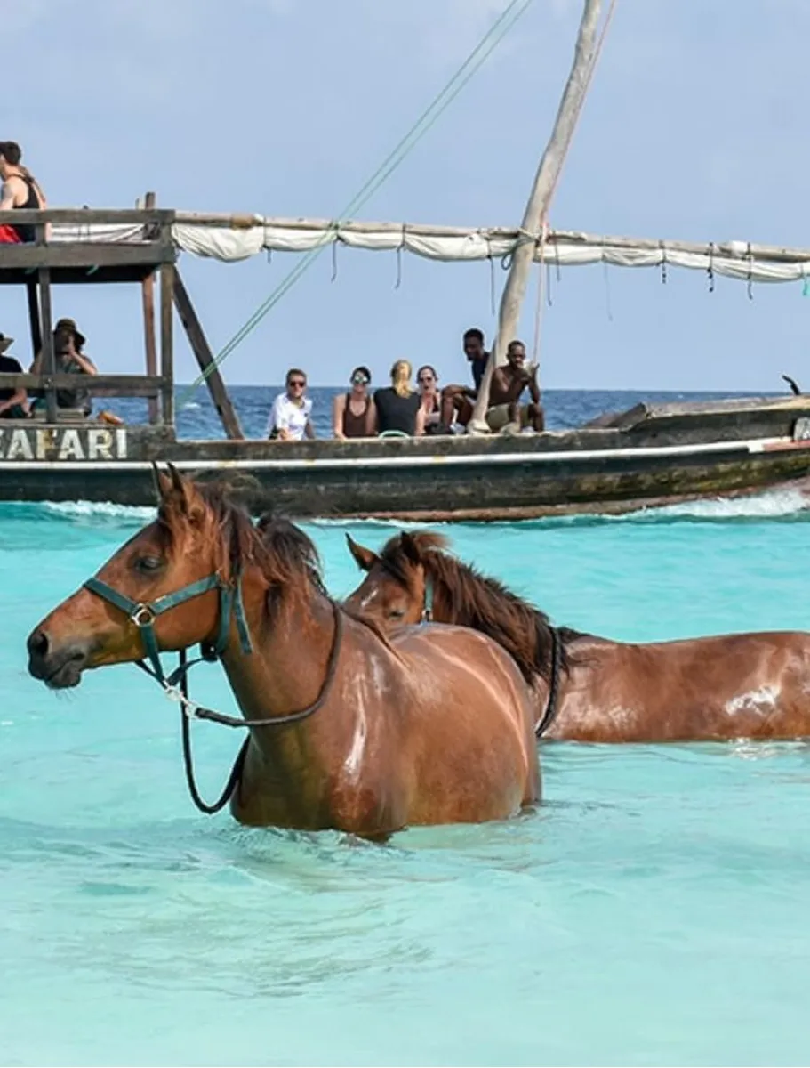 Horse-Safari-in-the-Ocean-C
