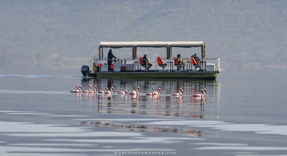 Lake-Cruise-with-meal3