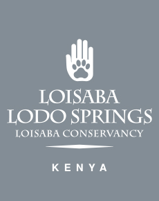Loisaba Lodo Springs-logo