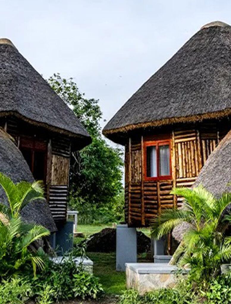 Rhino-Wildlife-Ranch-AA