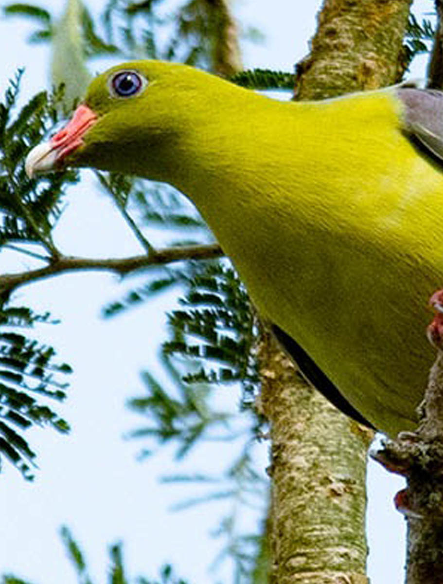 Rhino-Wildlife-Ranch-BB