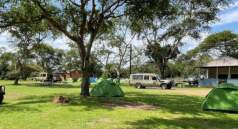 Rhino-Wildlife-Ranch-adv