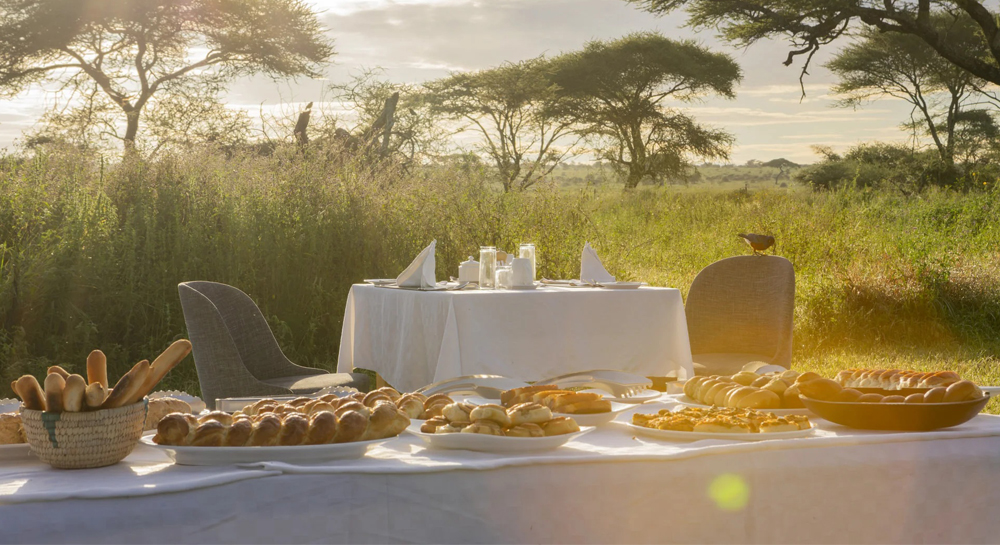 Sametu-camp-activity