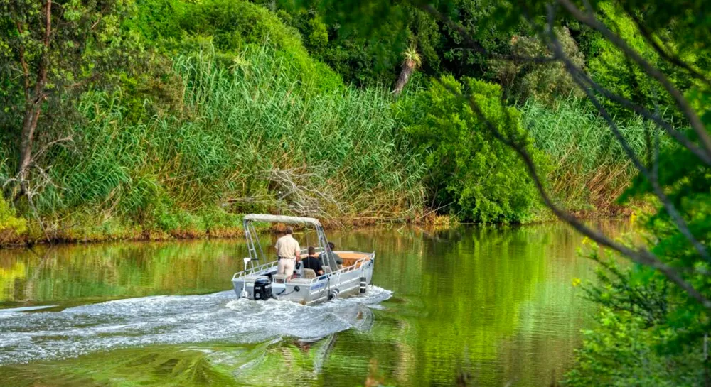 Shamwari-Game-Reserve-foundation