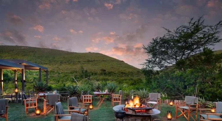 Shamwari-Game-Reserve-g1