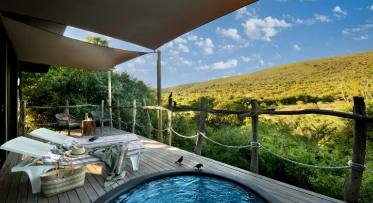 Shamwari-Game-Reserve-g2