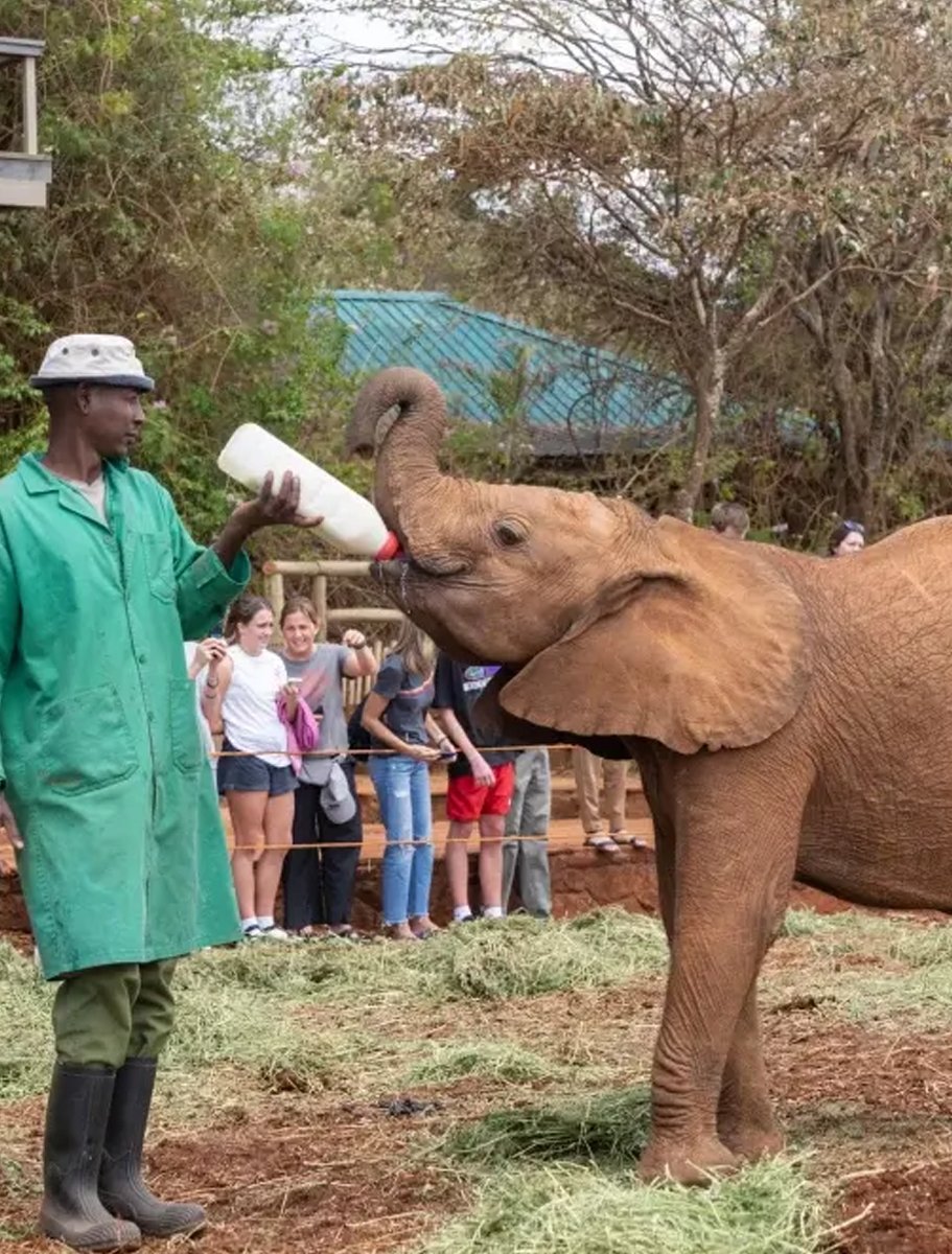 Kenya