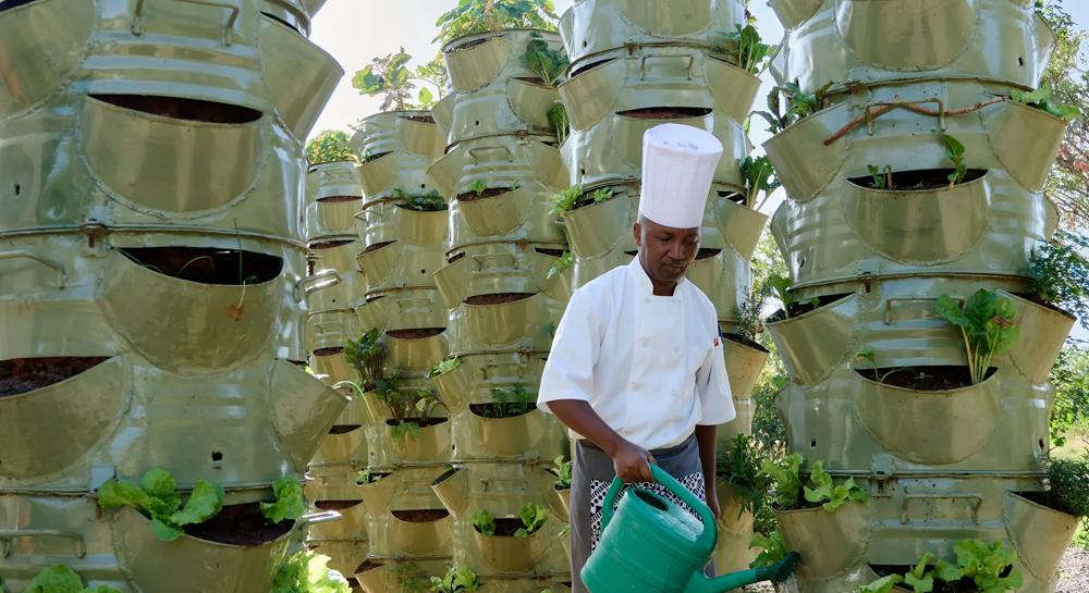 Tambarare-Camp,-Sanctuary-act