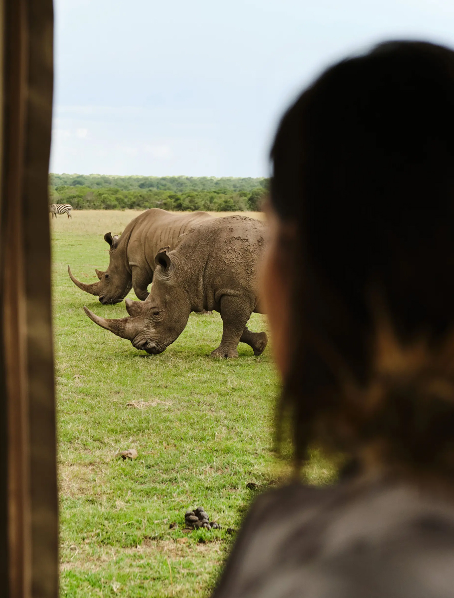 Tambarare-Camp,-Sanctuary-c