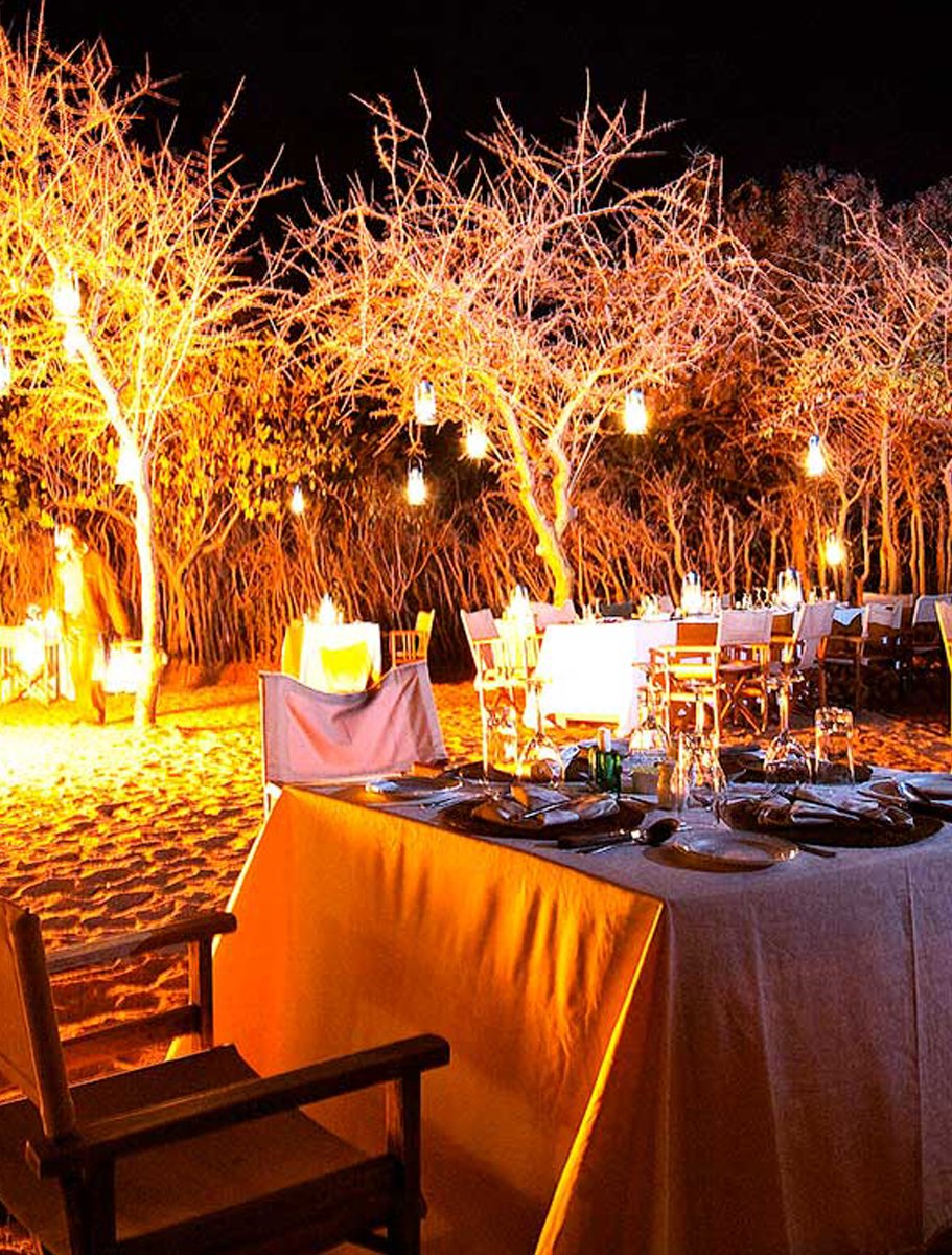 Tarangire-Treetops-2