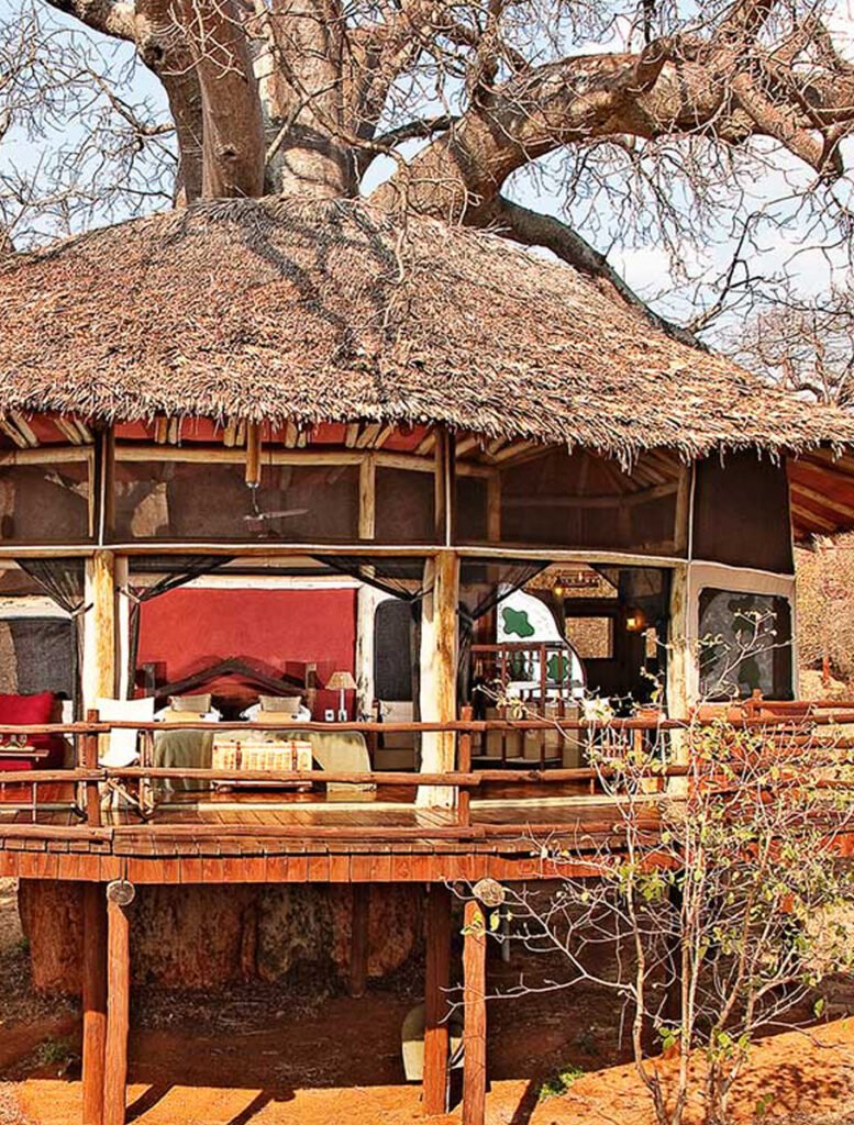 Tarangire-Treetops-banner