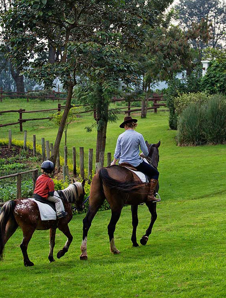 The-Manor-at-Ngorongoro-3