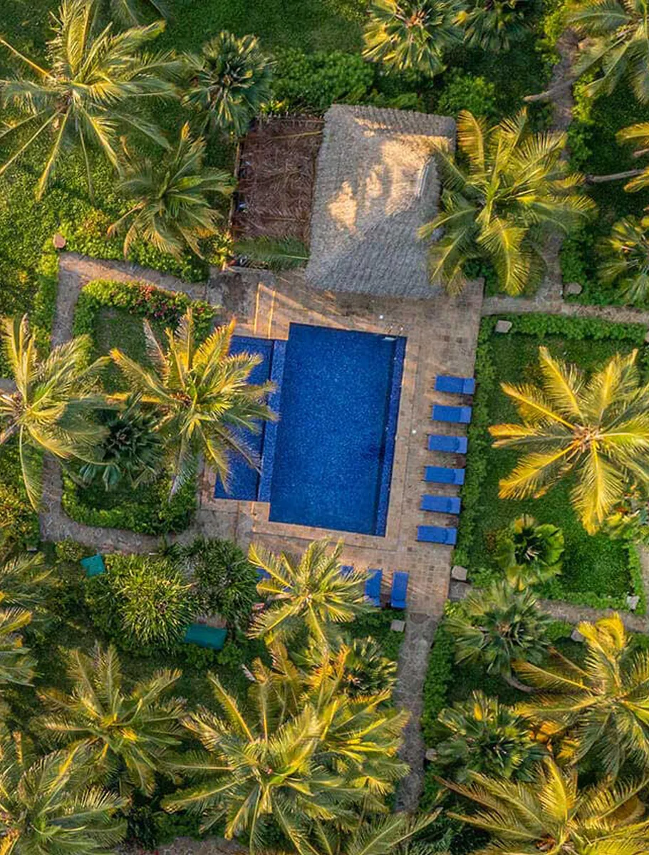 The_Palms-03