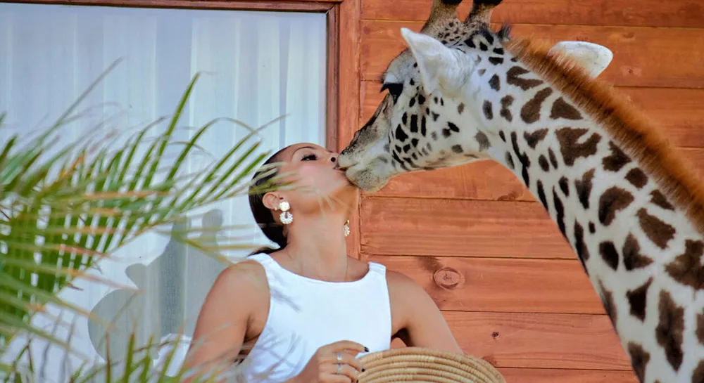 serval-wildlife-lodge-014