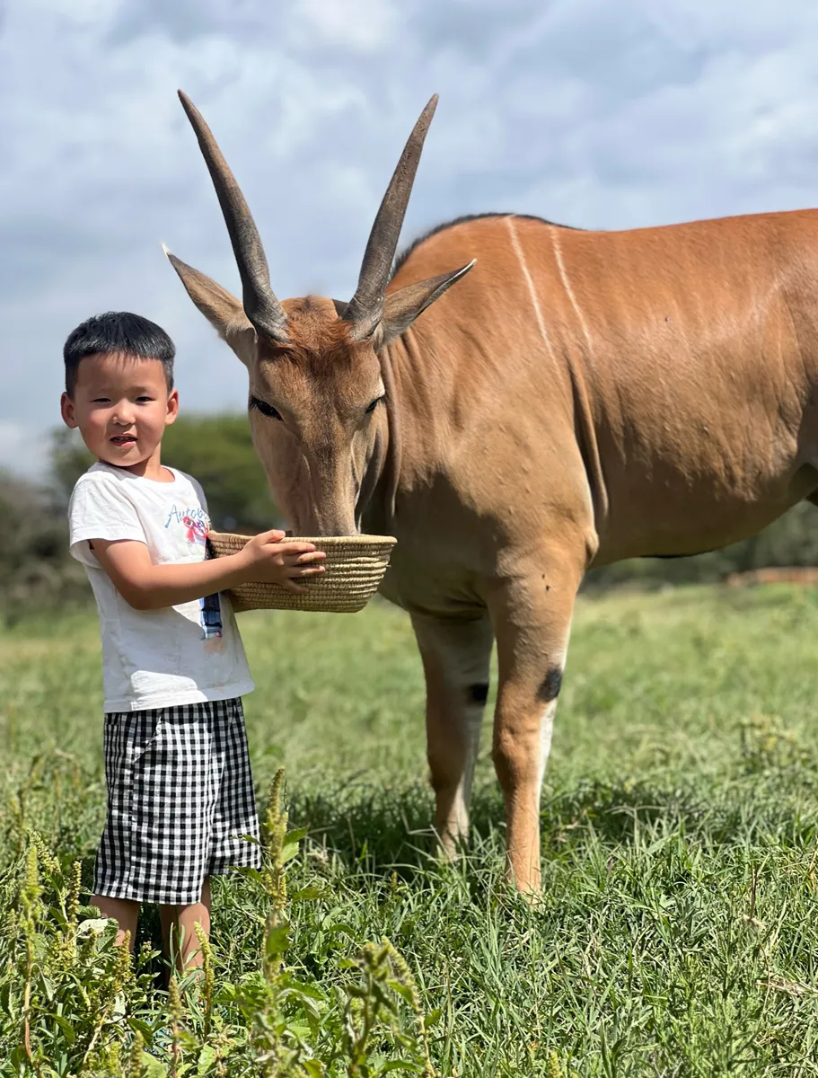 serval-wildlife-lodge-04