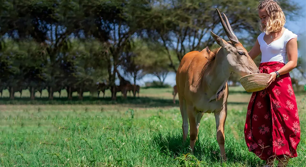 serval-wildlife-lodge-06