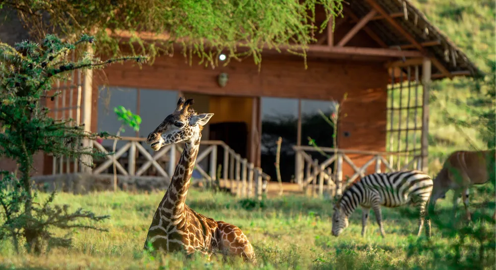 serval-wildlife-lodge-07
