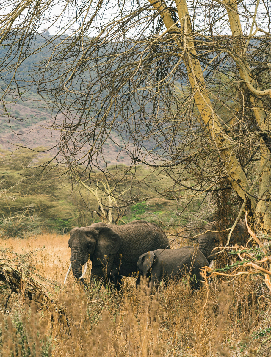 nagorongoro-lodge-AC