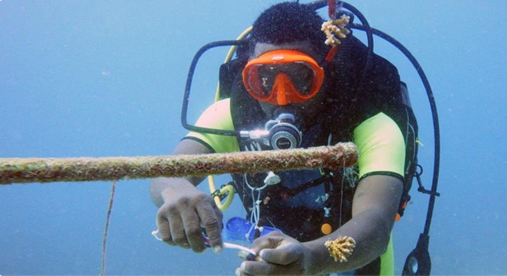 Swahili Beach Resort (4)