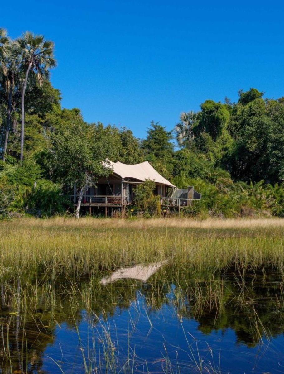 jacana camp day view