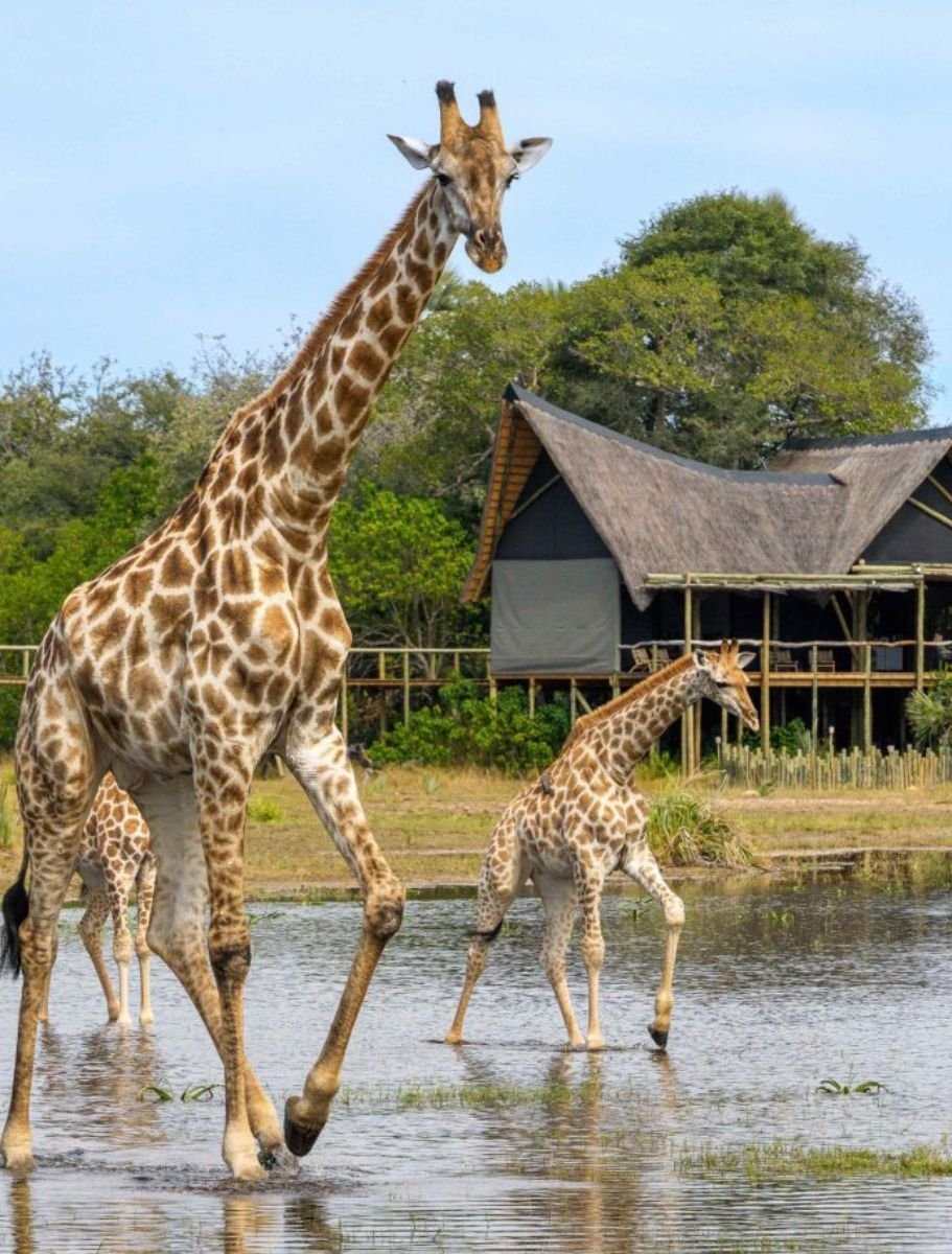 Botswana