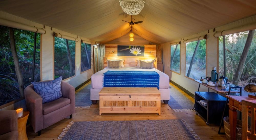 pelo camp room